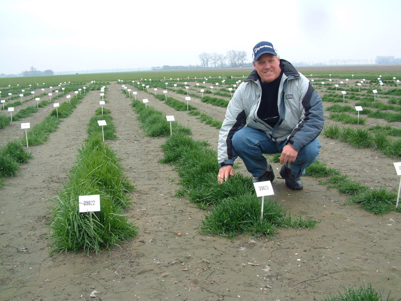 Rutgers Professor William A. Meyer — Turfgrass Management Expert Golf